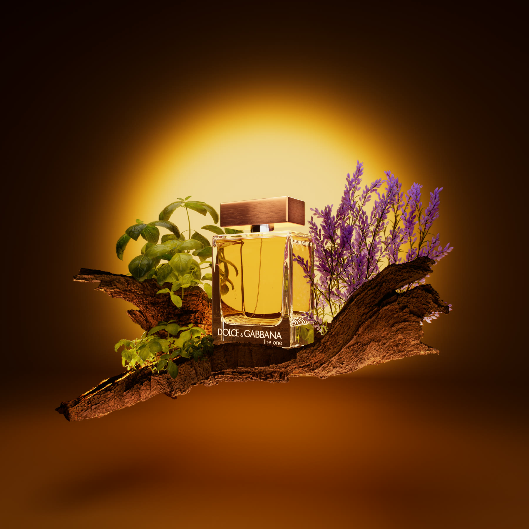 Estudo — Dolce&Gabbana